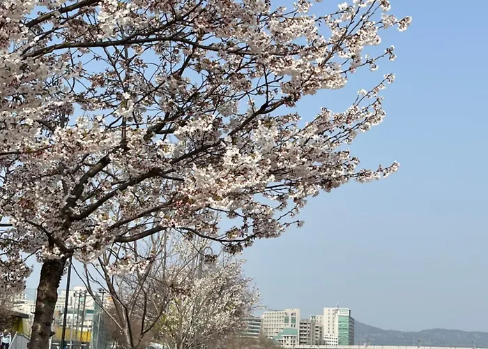 Lucy Aunt House * Seul